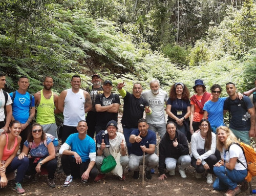 Los Participantes Del Programa Reincorpora – Modelo Epyco, Celebran En Día Mundial Del Medio Ambiente